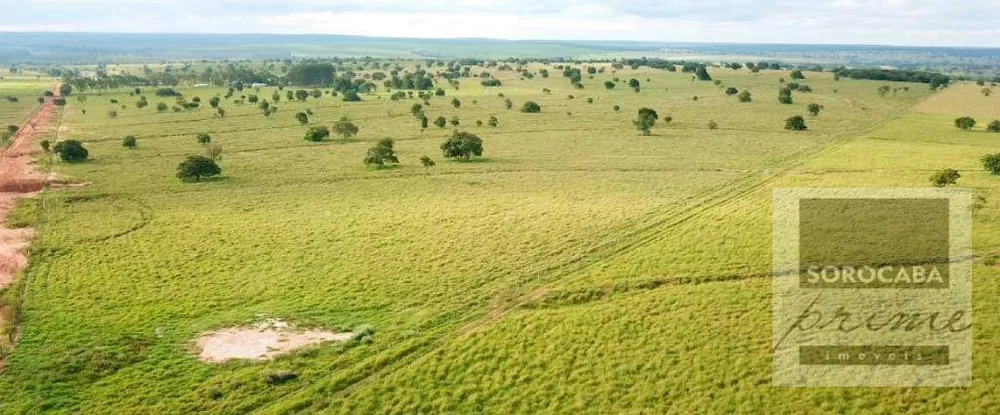 Fazenda, 4722 hectares - Foto 5