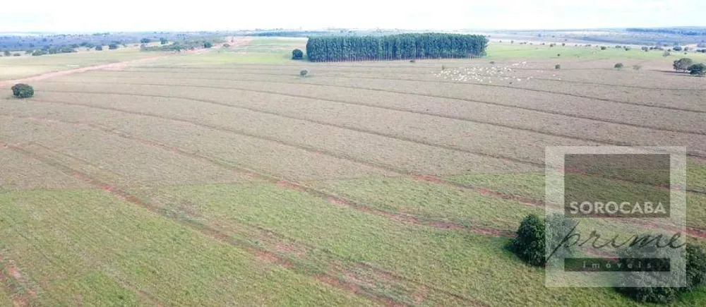 Fazenda, 4722 hectares - Foto 3