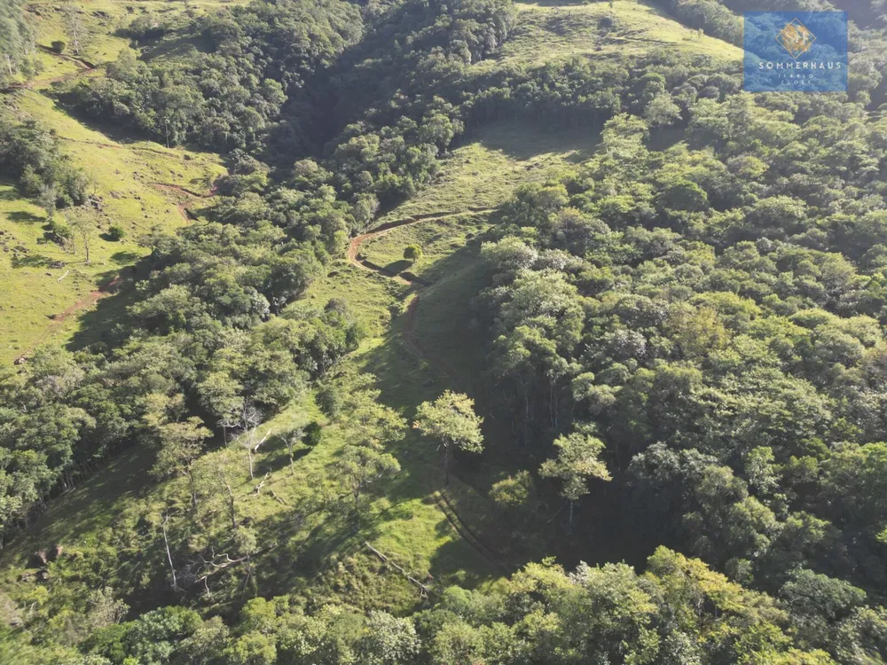Fazenda, 60 hectares - Foto 8