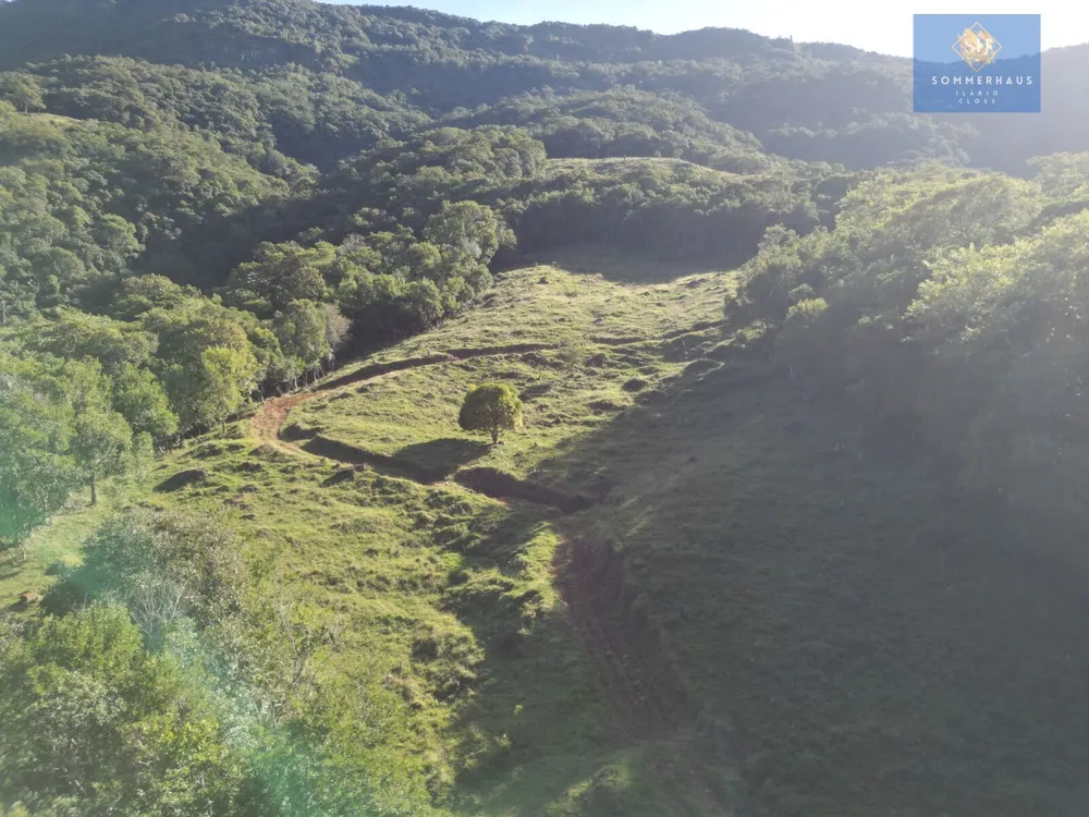 Fazenda, 60 hectares - Foto 4