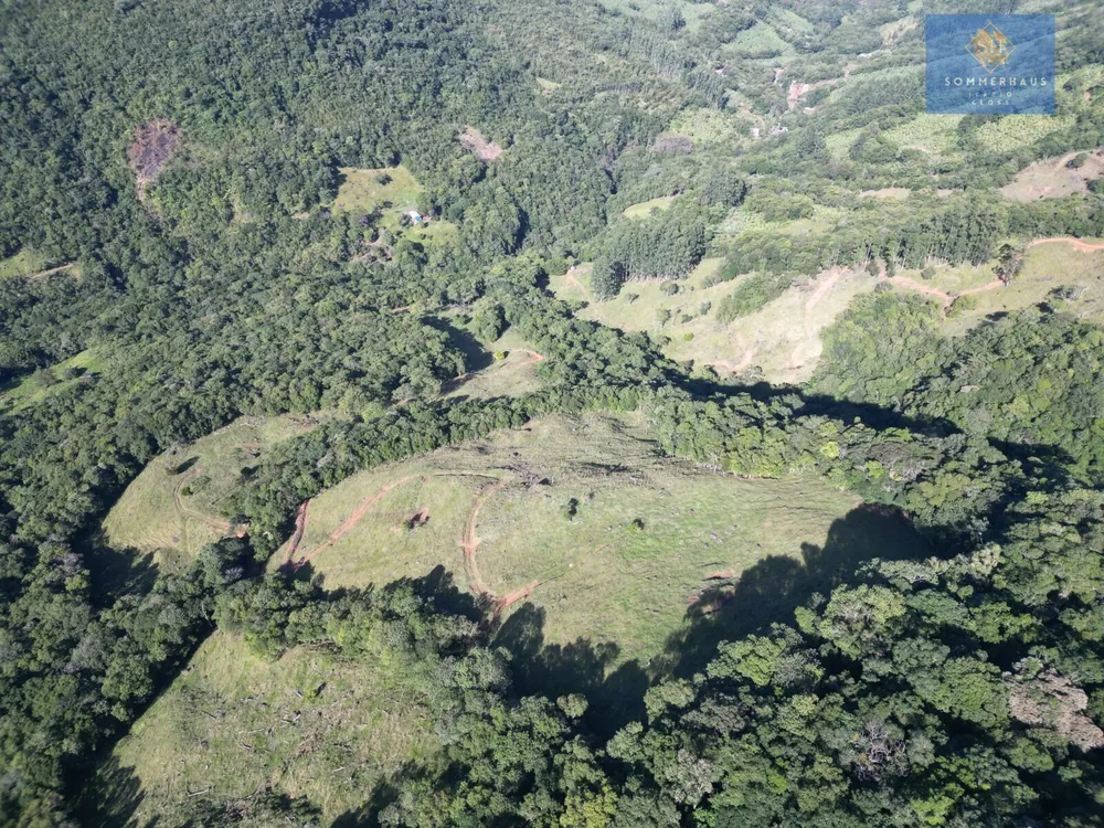 Sítio, 60 hectares - Foto 7