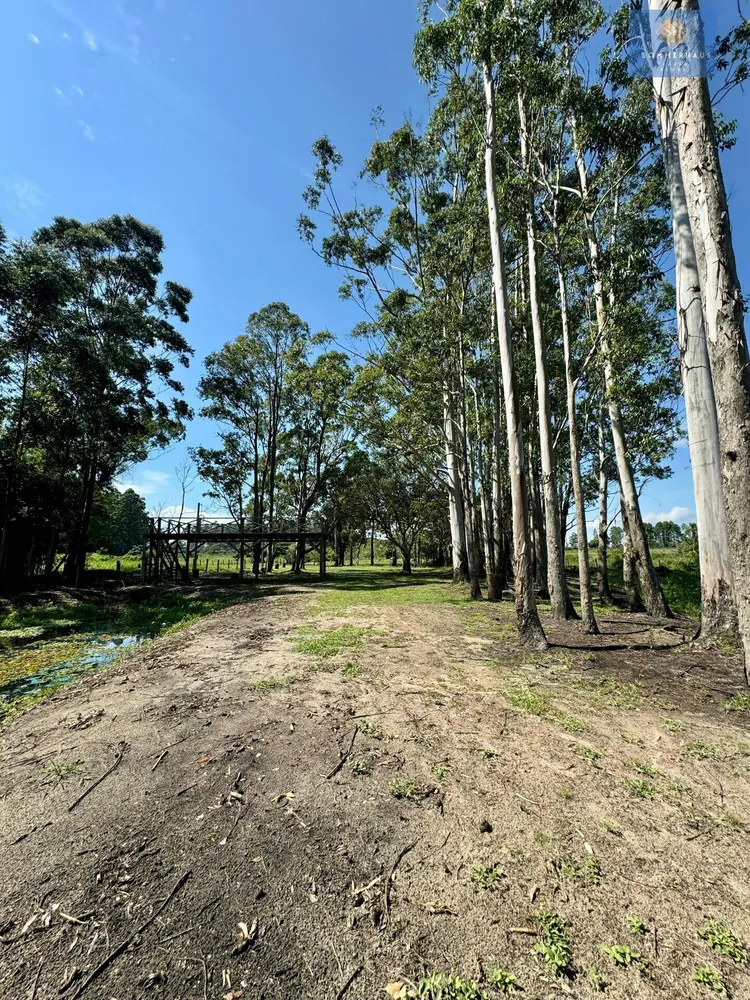 Chácara, 3 hectares - Foto 3