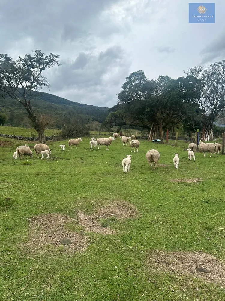 Chácara, 2 quartos, 20 hectares - Foto 9