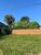 Terreno, 346 m² - Foto 6
