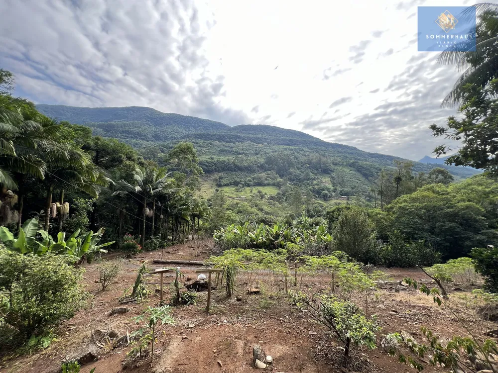 Chácara, 4 quartos, 2 hectares - Foto 6
