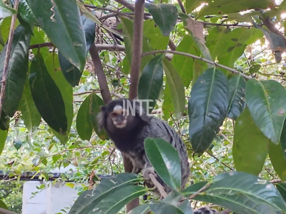 Apartamento, 3 quartos, 120 m² - Foto 28