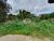 Terreno, 450 m² - Foto 4