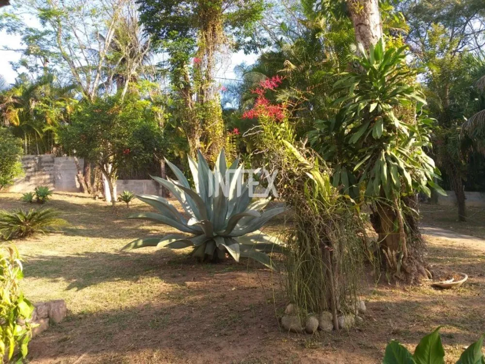 Casa, 4 quartos - Foto 20