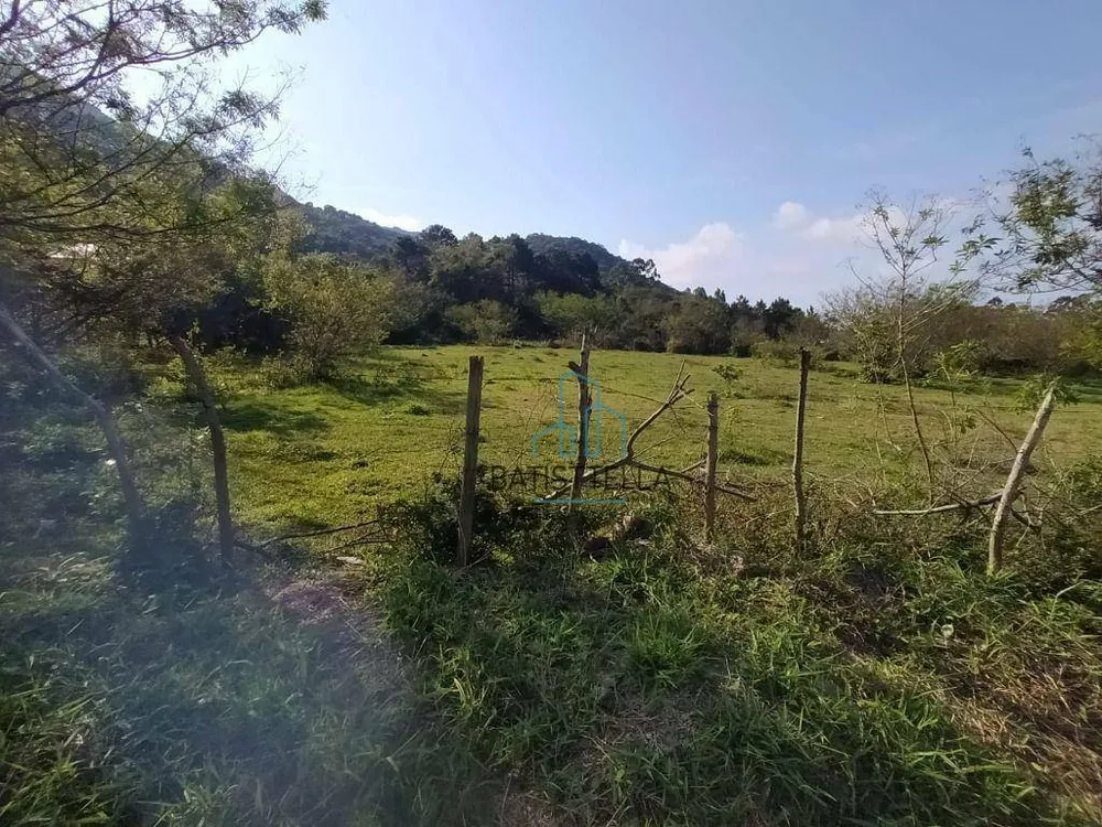 Terreno, 3135 m² - Foto 3