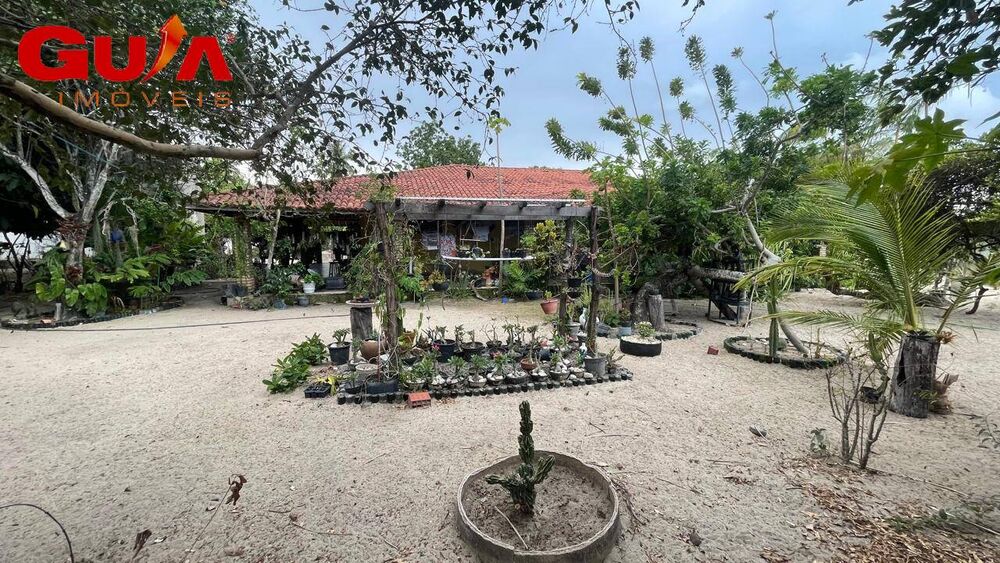 Sítio, 4 quartos, 10 hectares - Foto 2