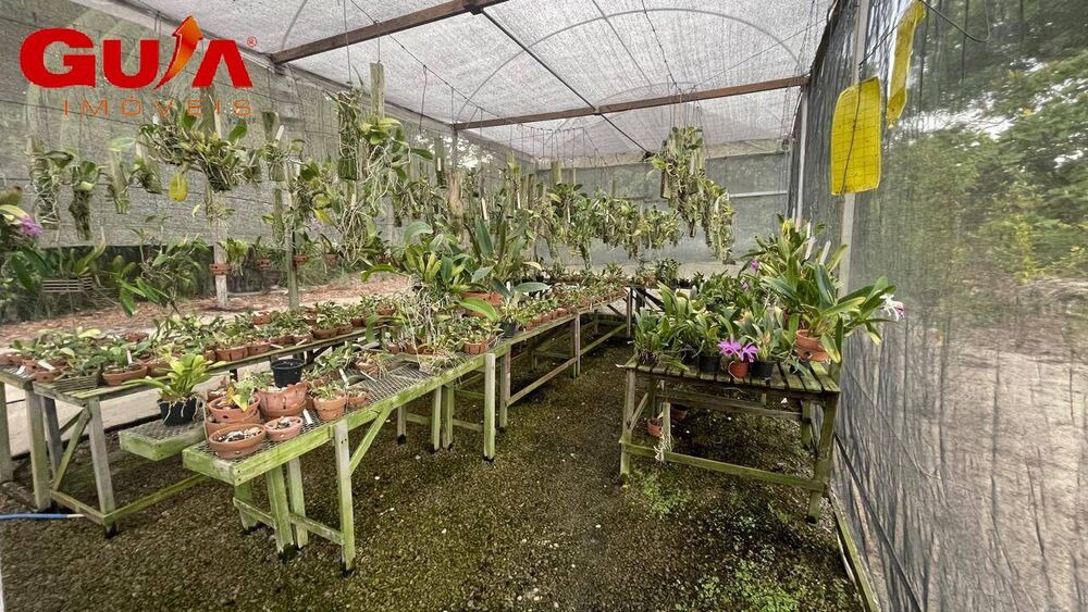 Sítio, 4 quartos, 10 hectares - Foto 3