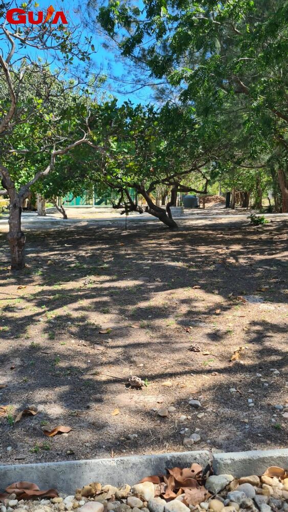 Terreno, 825 m² - Foto 2