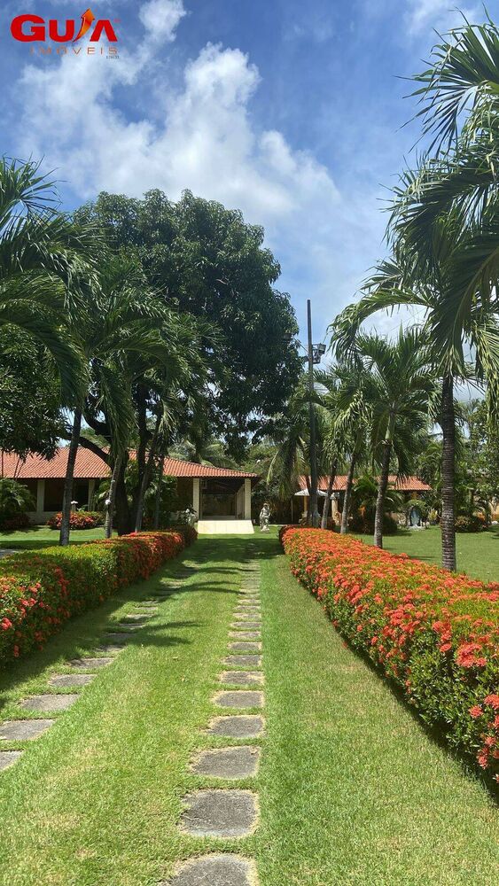 Sítio à venda com 4 quartos, 3000m² - Foto 3