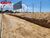 Terreno, 1 hectares - Foto 1