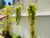 Apartamento, 1 quarto, 32 m² - Foto 12