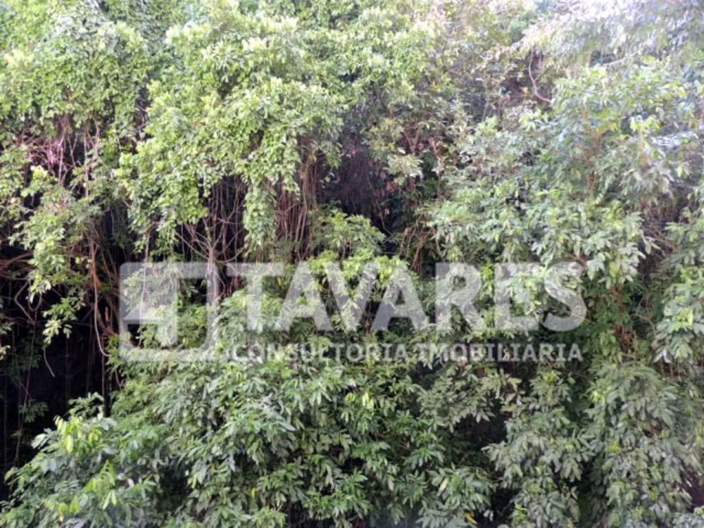 Apartamento, 3 quartos, 158 m² - Foto 7