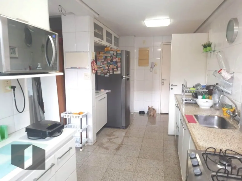 Cobertura, 4 quartos, 252 m² - Foto 23