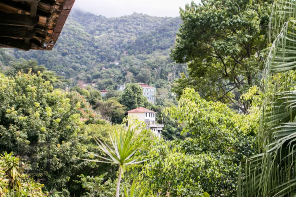 Casa, 4 quartos, 581 m² - Foto 8