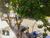 Apartamento, 4 quartos, 149 m² - Foto 5
