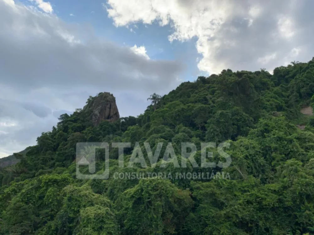 Apartamento, 3 quartos, 95 m² - Foto 1