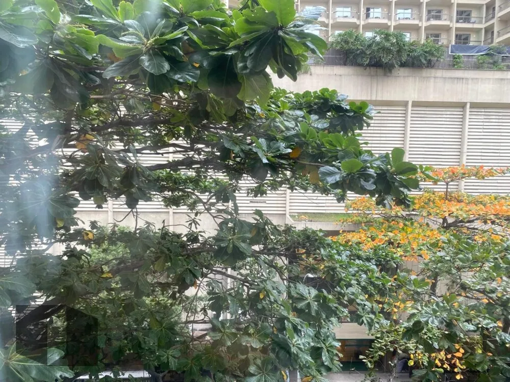 Apartamento, 3 quartos, 80 m² - Foto 5
