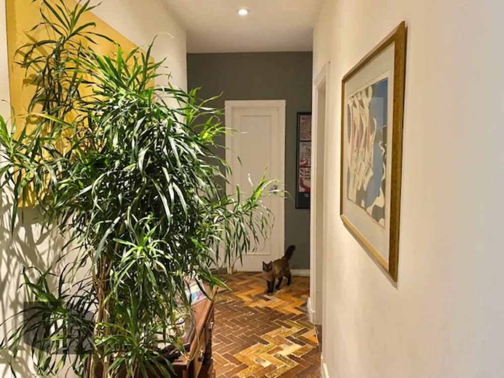 Apartamento, 3 quartos, 219 m² - Foto 34