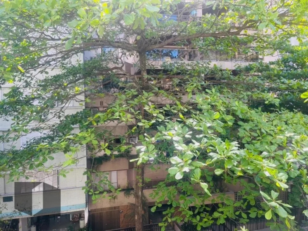 Apartamento, 3 quartos, 187 m² - Foto 2