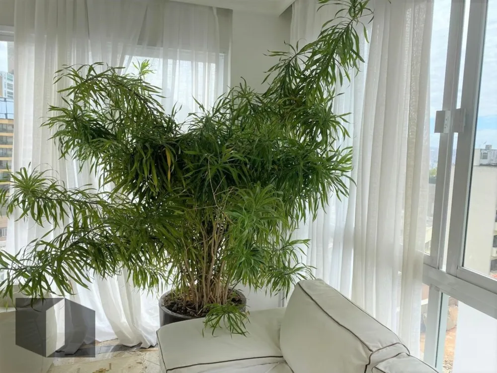 Apartamento, 4 quartos, 160 m² - Foto 10