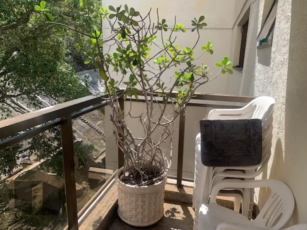 Apartamento, 3 quartos, 235 m² - Foto 16