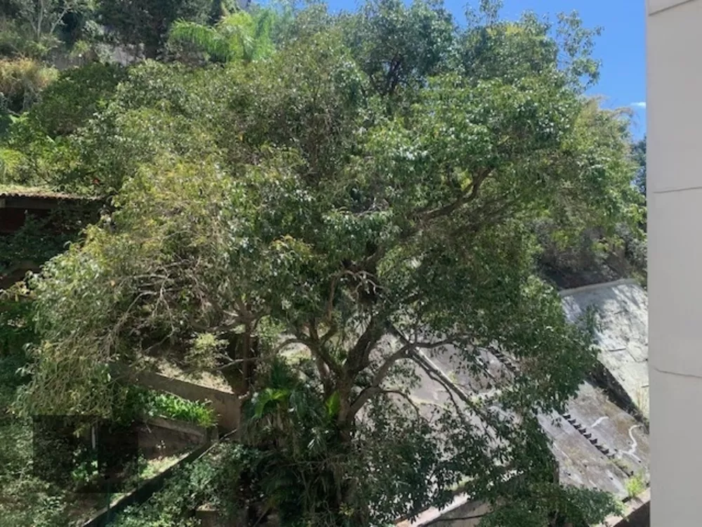 Apartamento, 3 quartos, 235 m² - Foto 12