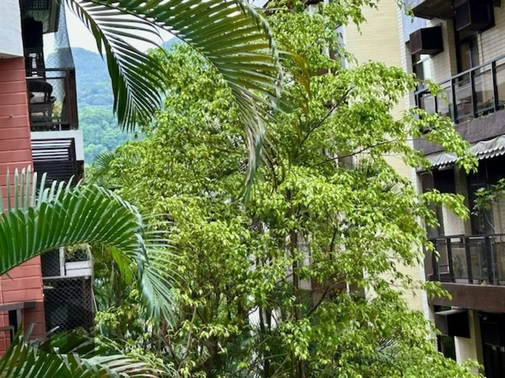 Apartamento, 4 quartos, 112 m² - Foto 7
