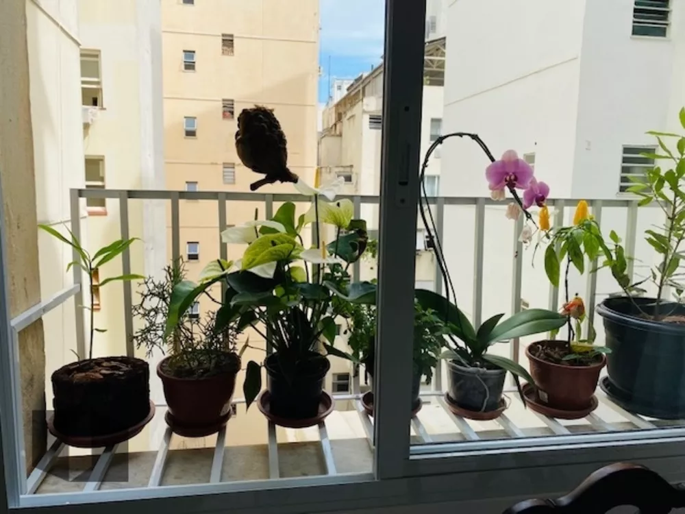 Apartamento, 3 quartos, 114 m² - Foto 36