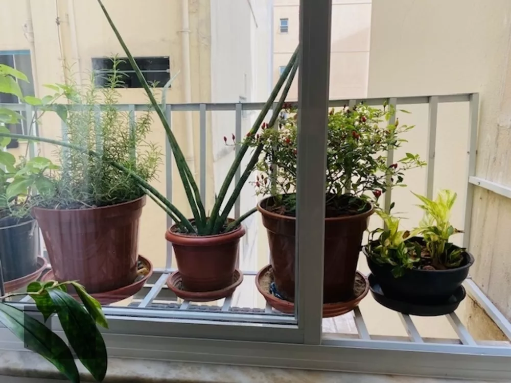 Apartamento, 3 quartos, 114 m² - Foto 11