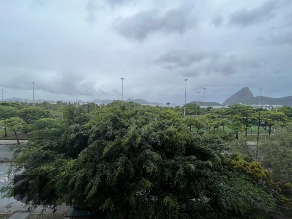 Apartamento, 3 quartos, 233 m² - Foto 12