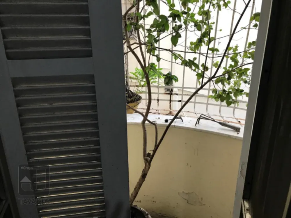 Apartamento, 4 quartos, 185 m² - Foto 16