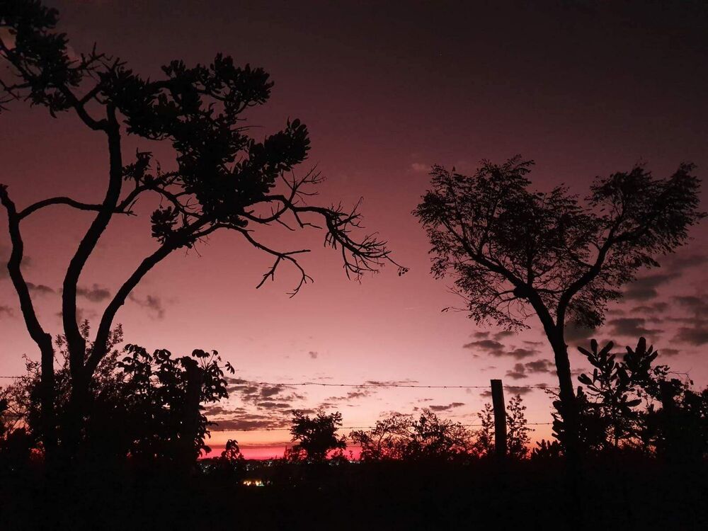 Casa, 2 quartos, 650 m² - Foto 8