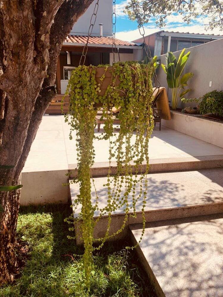 Casa, 3 quartos, 260 m² - Foto 12