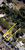 Terreno, 1000 m² - Foto 1