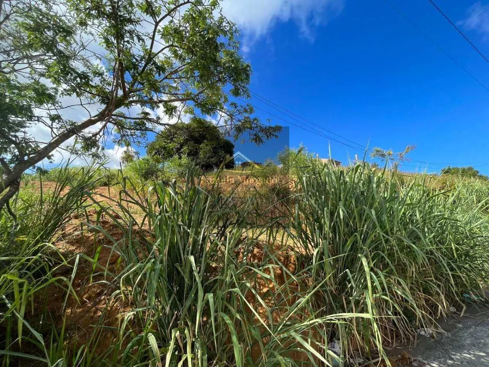 Terreno, 360 m² - Foto 6