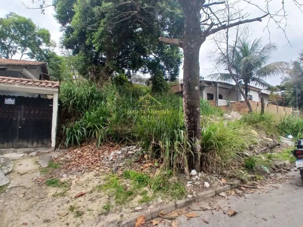Terreno - Foto 4