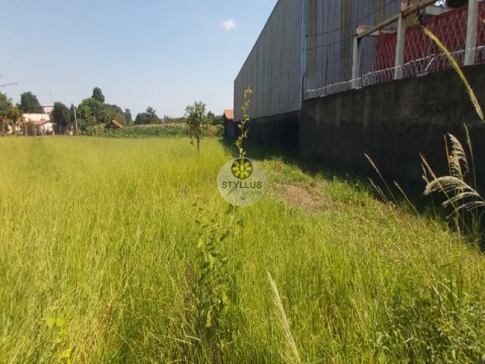 Terreno, 1447 m² - Foto 7