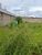 Terreno, 286 m² - Foto 2