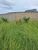 Terreno, 286 m² - Foto 4