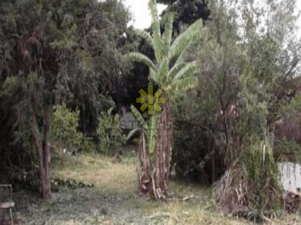 Terreno, 1467 m² - Foto 3