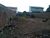 Terreno, 298 m² - Foto 4