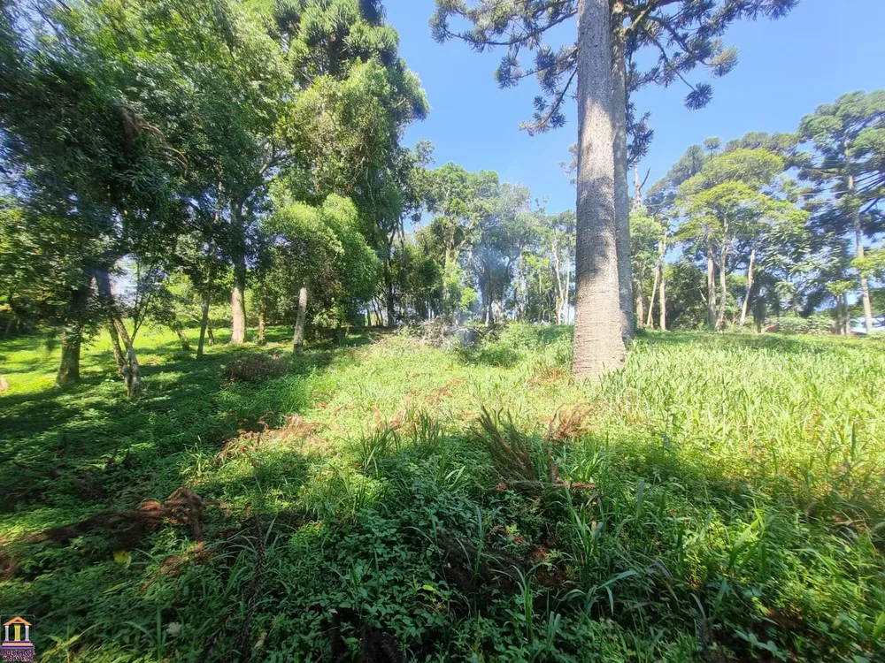 Chácara, 3 quartos, 6000 m² - Foto 17