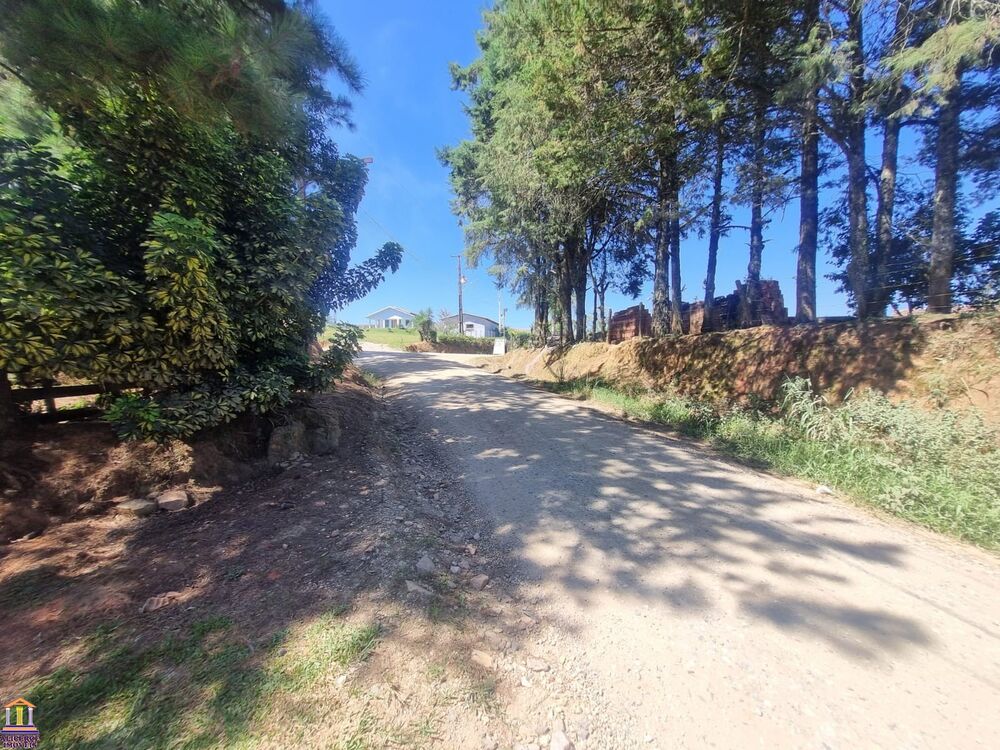 Chácara, 3 quartos, 6000 m² - Foto 2