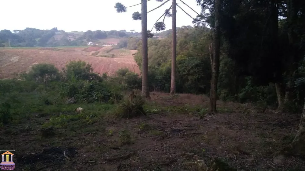 Chácara, 3 quartos, 6000 m² - Foto 12