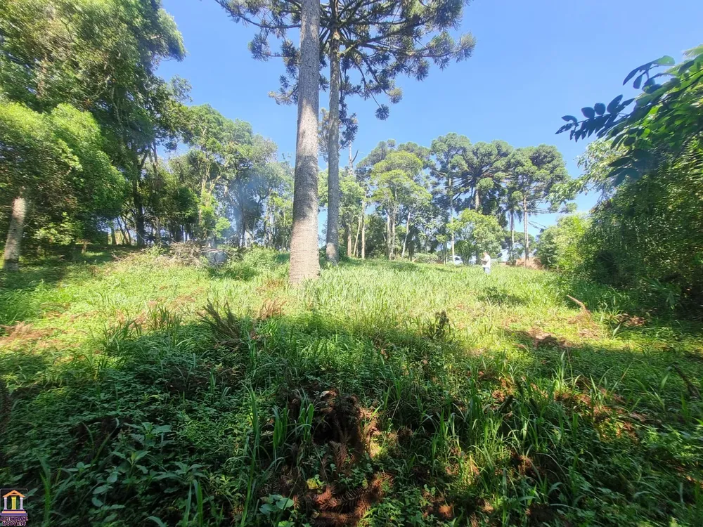Chácara, 3 quartos, 6000 m² - Foto 14