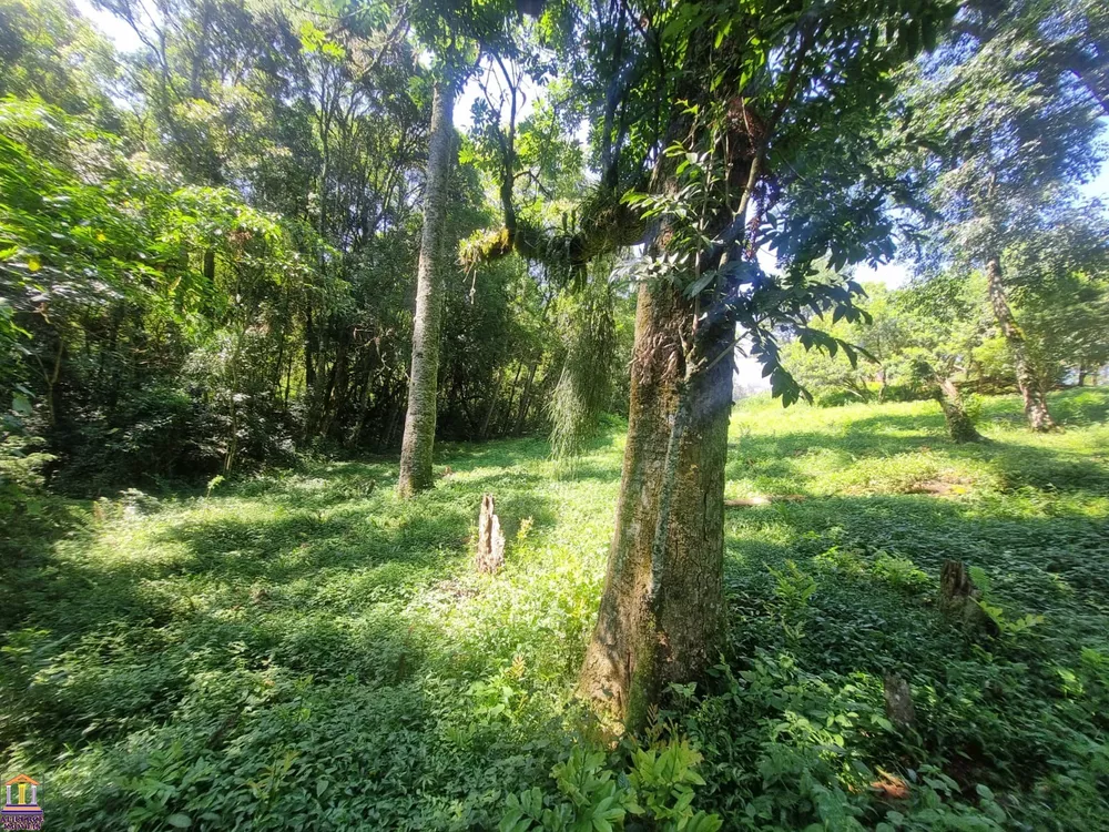 Chácara, 3 quartos, 6000 m² - Foto 3